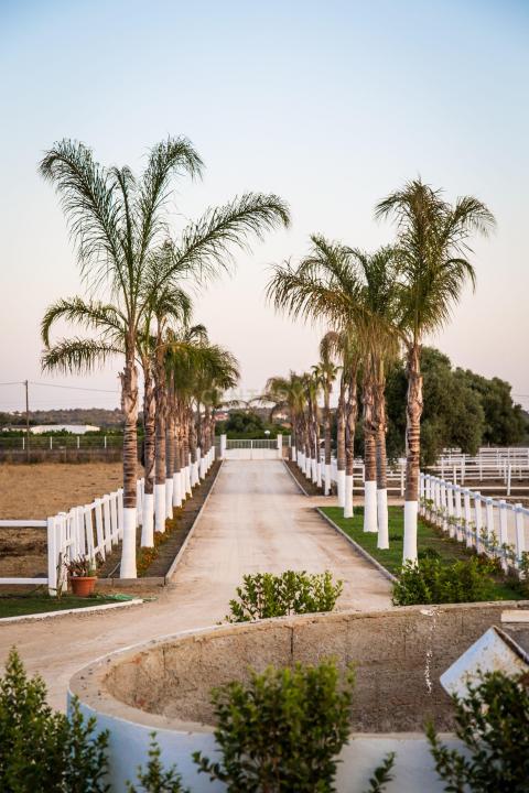 Olhão, 파로 8700-061, 포르투갈