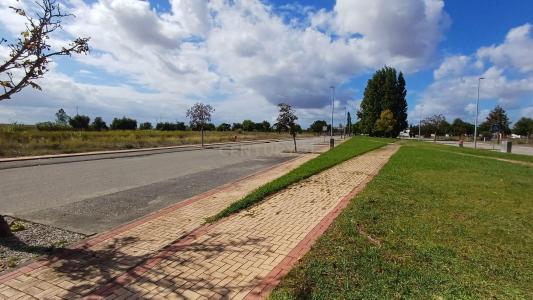 Lisbon, Lisbon 2330-524, Portugal