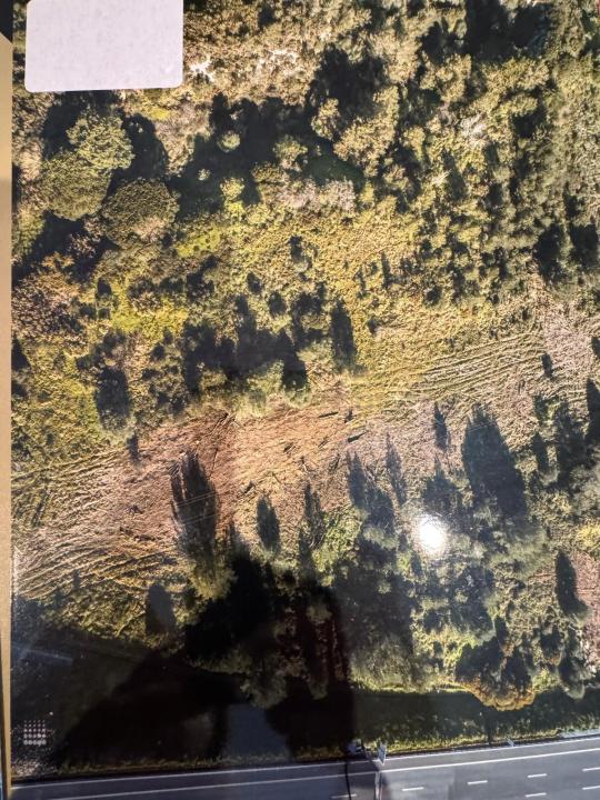 Cascais, 葡京 2645-254, 葡萄牙