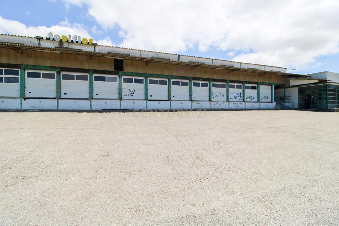 Sintra, Lisbon 2605-001, Portugal