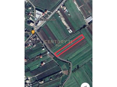 Shën Avlash, Durrës, Albania