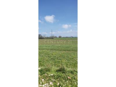 Katund i Ri, Durrës, Albania