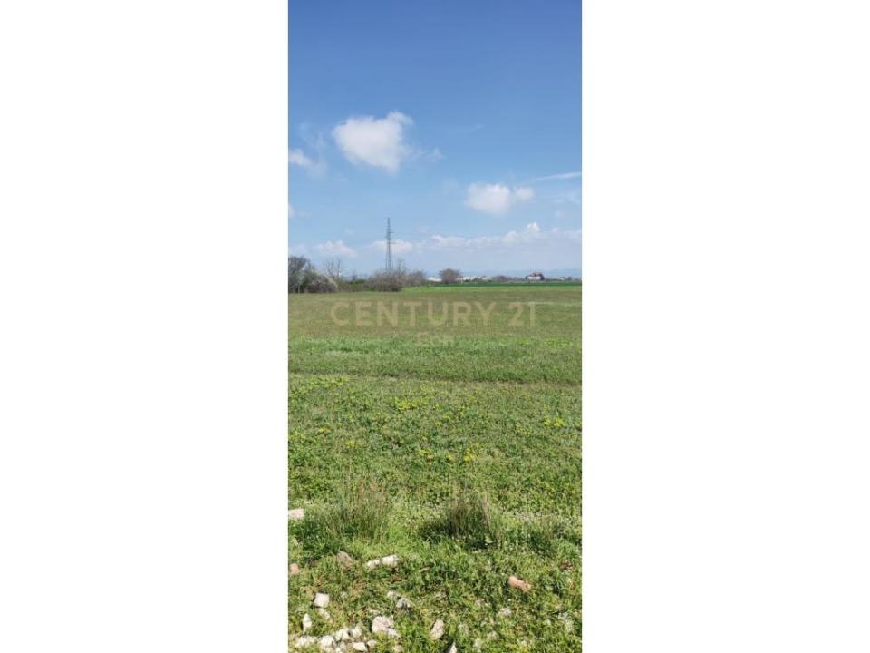 Katund i Ri, Durrës, Albânia