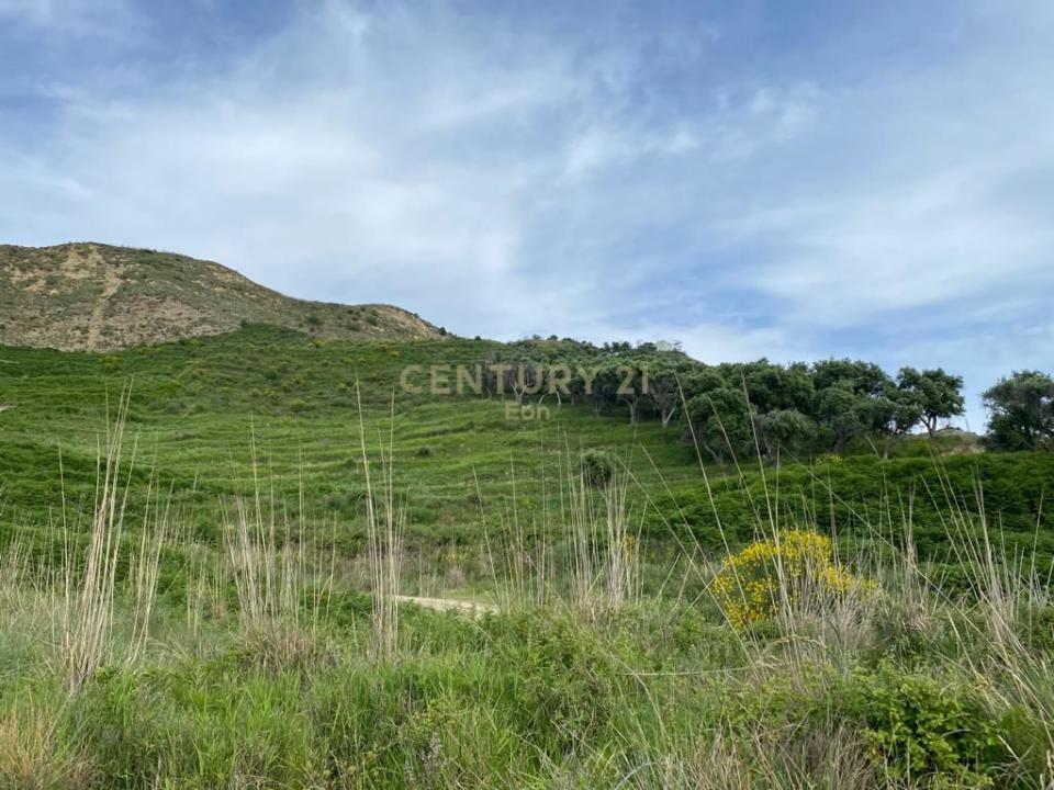 Kallm, Durrës, Albania