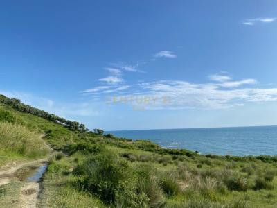 Kallm, Durrës, Albania