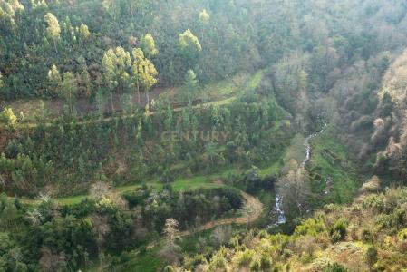 Cinfães, Viseu 4690-711, Portogallo