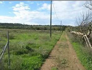 Loulé, Faro 8135-021, Portugal