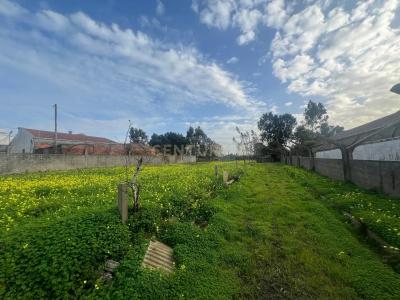 Vila Nova De Gaia, ポルト 4410-232, ポルトガル