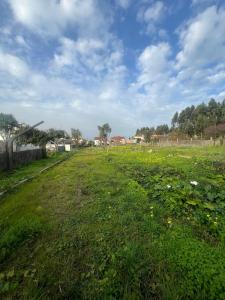 Vila Nova De Gaia, ポルト 4410-232, ポルトガル