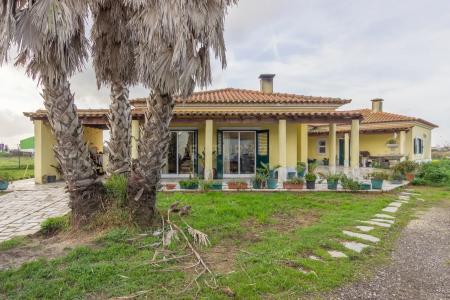 Moita, Setubal 2860-707, Portogallo