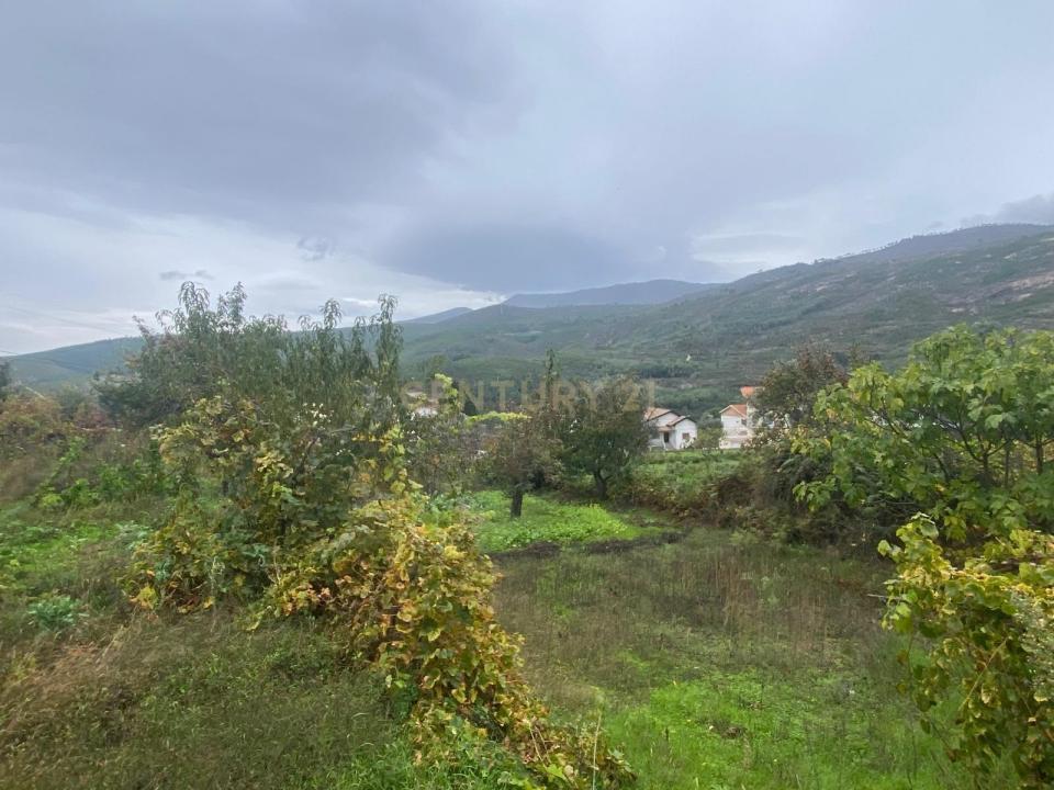 Covilhã, カステロ・ブランコ 6250, ポルトガル