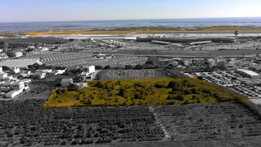 Faro, Faro 8005-335, Portugal