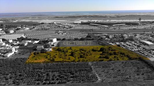 파로, 파로 8005-335, 포르투갈