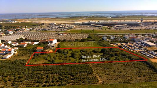 파로, 파로 8005-335, 포르투갈