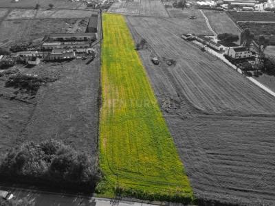 Alcochete, Сетубал 2890-299, Португалия