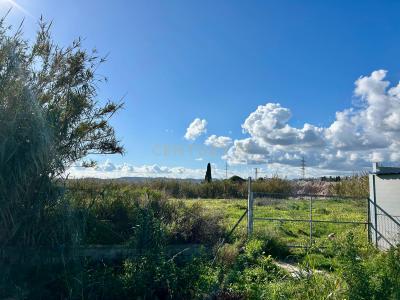 Malaga, Andalucía 29640, Spain