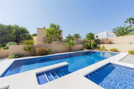 Alacant/Alicante, Comunitat Valenciana 03710, Espagne