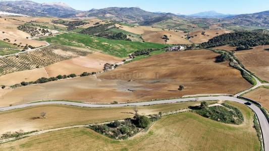 Malaga, Andalucía 29230, Spagna