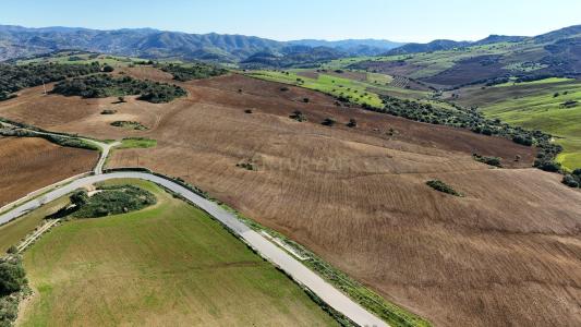 Malaga, Andalucía 29230, Spagna