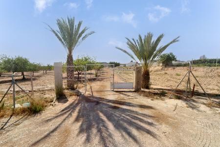 Alacant/Alicante, Comunitat Valenciana 03113, Spain