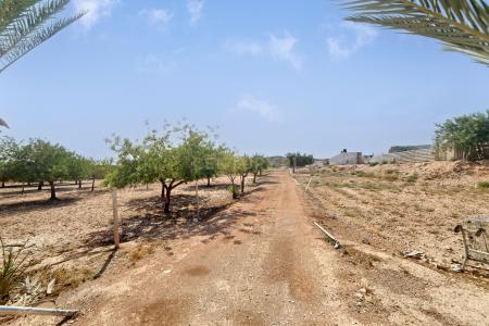 Alacant/Alicante, Comunitat Valenciana 03113, Spain