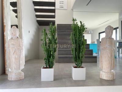 Malaga, Andalucía 29639, Spain