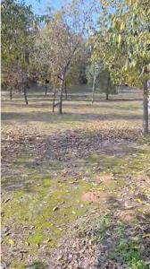 Madrid, Comunidad De Madrid 28021, Espagne