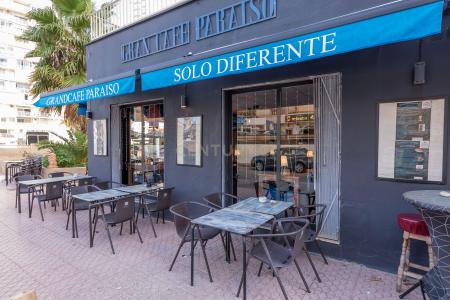 Alacant/Alicante, Comunitat Valenciana 03710, Espanha