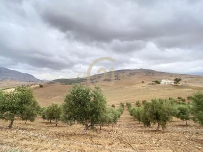 Malaga, Andalucía 29500, Spain