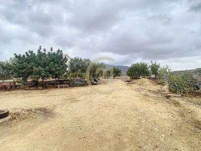 Malaga, Andalucía 29500, Spain