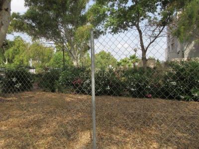 Alacant/Alicante, Comunitat Valenciana 03700, Spain