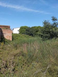 ז'ירונה, Cataluña/Catalunya 17600, ספרד