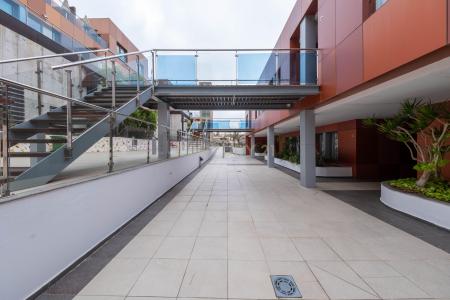 Las Palmas, Canarias 35130, España