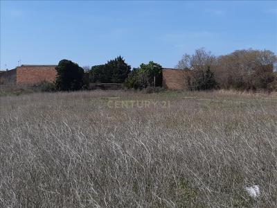 Girona, Cataluña/Catalunya 17475, Spain