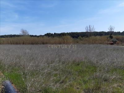 Girona, Cataluña/Catalunya 17475, Spain