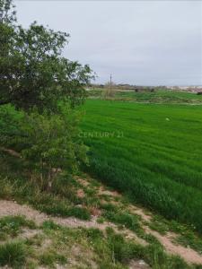 Girona, Cataluña/Catalunya 17740, Hiszpania