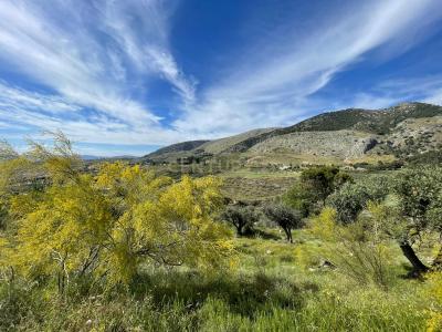 Granada, Andalucía 18179, Espanha