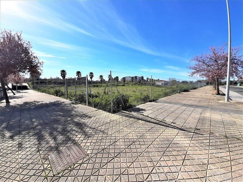 Cáceres, אקסטרמדורה 10195, ספרד