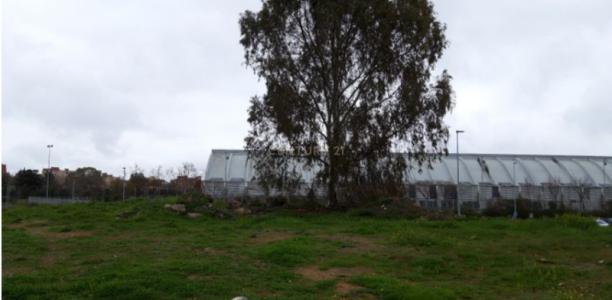 Cáceres, Estremadura 10195, Spagna