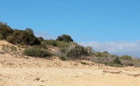 Murcia, Región De Murcia 30592, Espanha