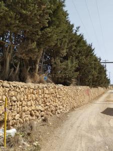 Barcelona, Cataluña/Catalunya 08800, Spain