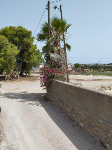 Barcelona, Cataluña/Catalunya 08800, Spain