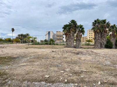 València/Valencia, Comunitat Valenciana 46712, Spain