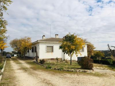 Toledo, Castilla-La Mancha 45930, Spain