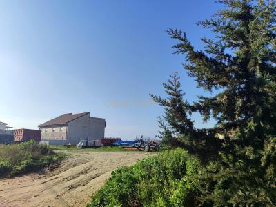 Toledo, Castilla-La Mancha 45950, Spain