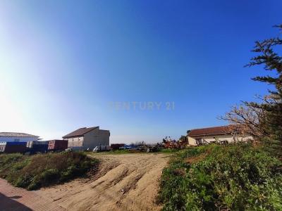 Toledo, Castilla-La Mancha 45950, Spain