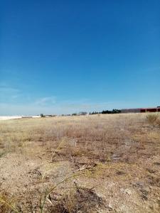 바다호스, 에스트레마두라 06200, 스페인