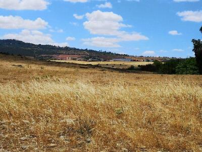 Cáceres, 埃斯特雷马杜拉 10004, 西班牙