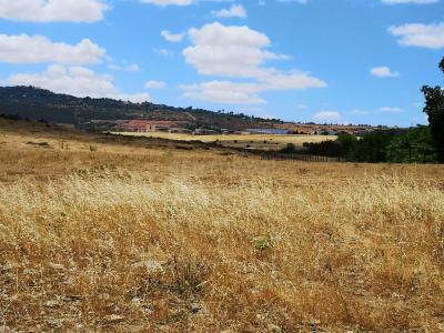 Cáceres, 埃斯特雷马杜拉 10004, 西班牙