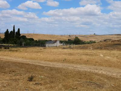 Cáceres, 埃斯特雷马杜拉 10004, 西班牙